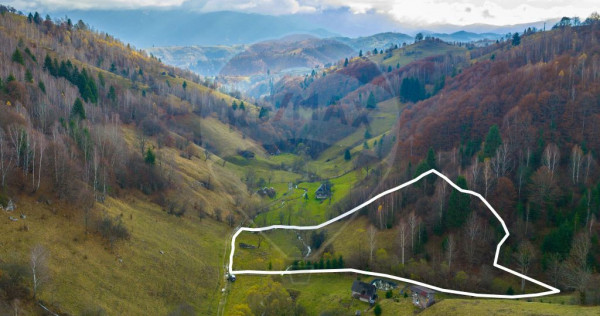 COMISION 0% Teren 8013mp Moieciu de Jos / Strada Valea cu...