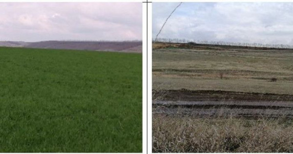 Teren extravilan Tiganasi, cota parte 1/5, ID: R2822453