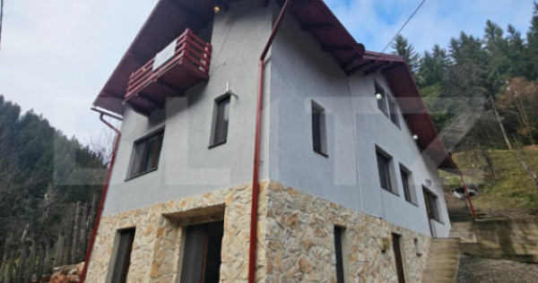 Casa cu 6 camere, Liniște, Natură și Spațiu, Vadul Motil