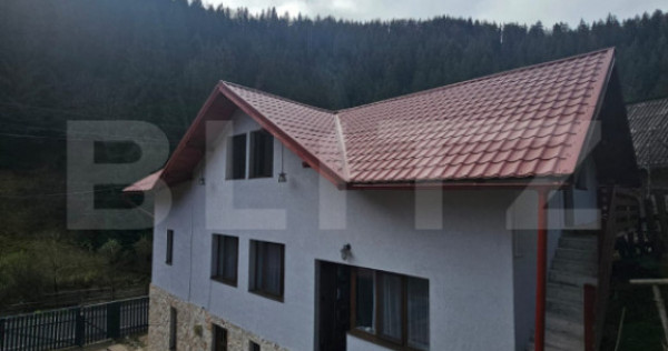Casa cu 6 camere, Liniște, Natură și Spațiu, Vadul Motil