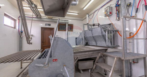 Ferma moderna de porci de vanzare in Curtuiusu Dejului