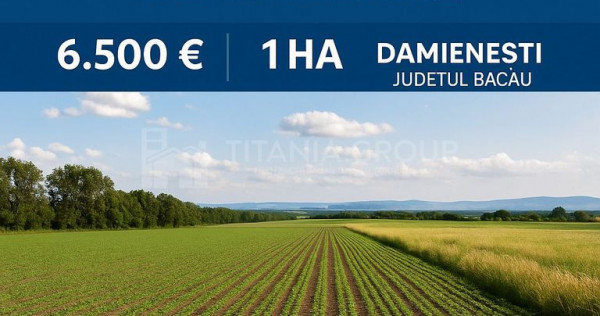 Teren extravilan agricol 1 ha de vânzare- Damienești, B...