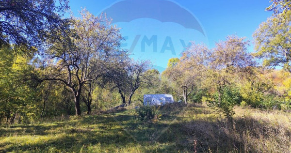 Teren 5,408mp Pucioasa / Strada Miculesti