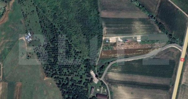 Teren extravilan 5996 mp, zona Valea Sasului - Teius