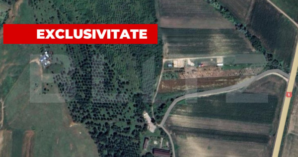 Teren extravilan 5996 mp, zona Valea Sasului - Teius