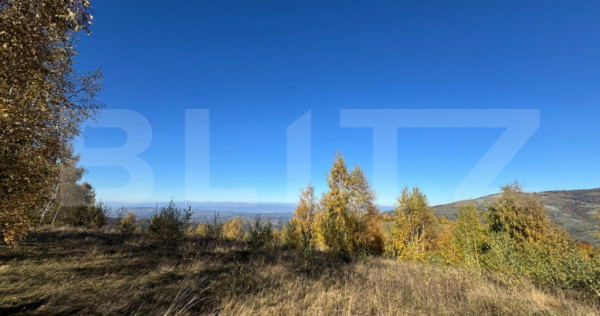 Teren extravilan de 18.769 mp in Târsa