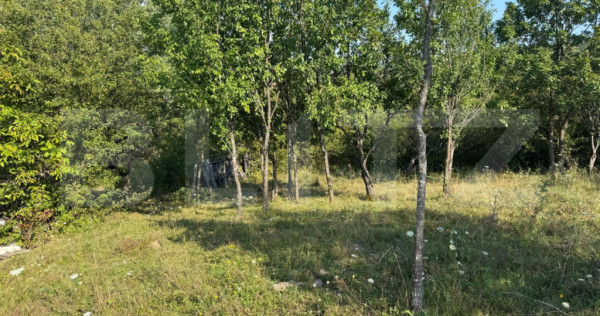 Teren extravilan, de vanzare, 1.500 mp, zona Valea Ghinzii-s