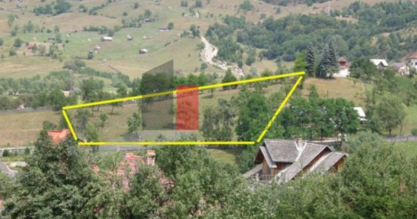 Teren intravilan 3214 mp în Rucăr cu deschidere 56 m î...