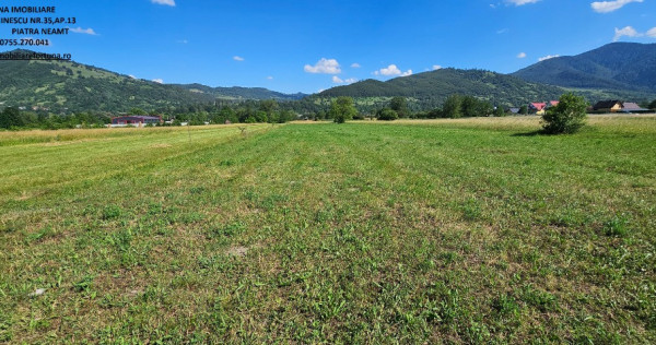 Teren intravilan Pangarati, 4400 mp