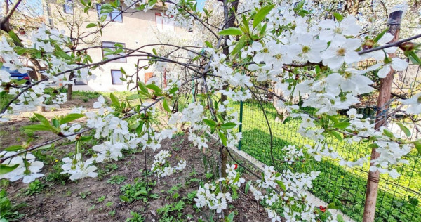 Casa amenajata cu stil, acces auto, curte, terase, zona Star