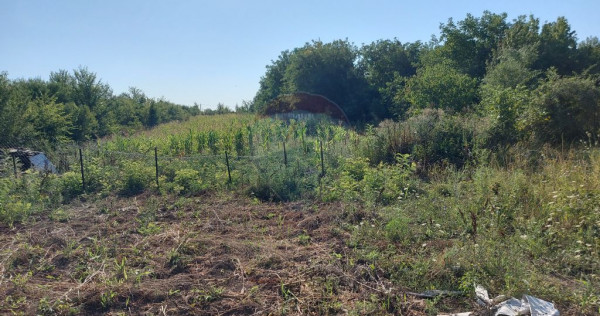 Vanzare teren Saftica strada Calea Bucuresti