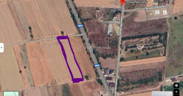 Teren 3000 mp - Comuna 1 Decembrie - Ilfov