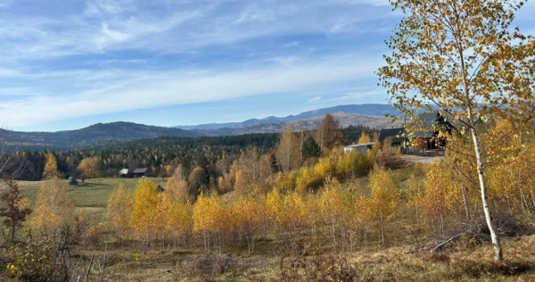 Teren in Călățele Padure 4488mp