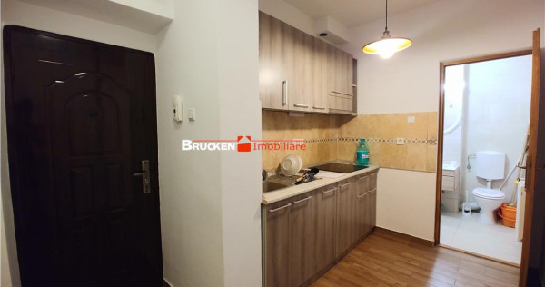 Apartament cu o camera