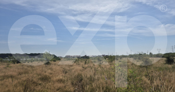 Teren intravilan de v&acirc;nzare in Trivale - zona Magic | 500 m