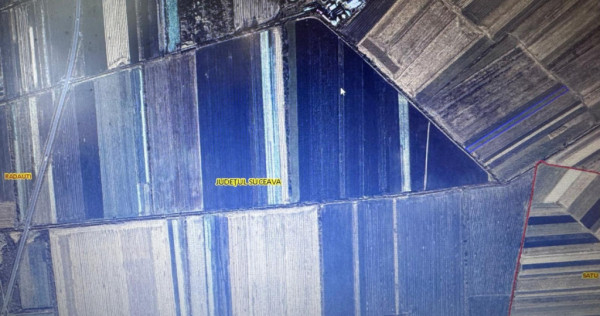 Teren extravilan , 5000mp, Radauti