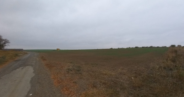 Teren de vanzare in Valu Lui Traian, Cartierul Nou - 403 mp