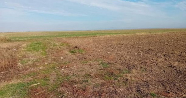 Cota de 3/8 din teren extravilan, Sacosu Turcesc, Jud Timis