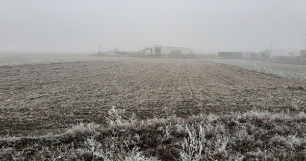 Teren extravilan de vanzare Baldana judetul Dambovita