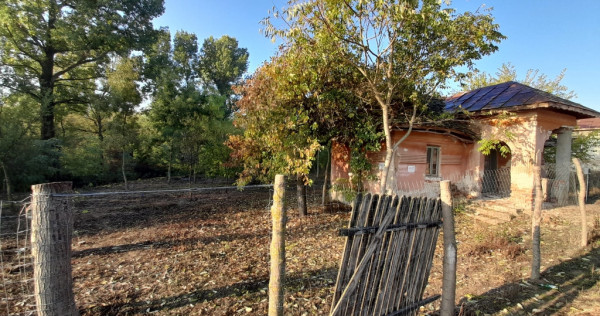 Teren 2900 m&sup2;, com. Salcuta, Jud. Dolj