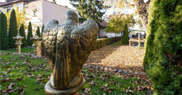 Nivel in vila, curte deosebita, priveliste, Central, Brasov