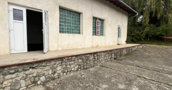 Spatiu comercial multifunctional de inchiriat, Cacica