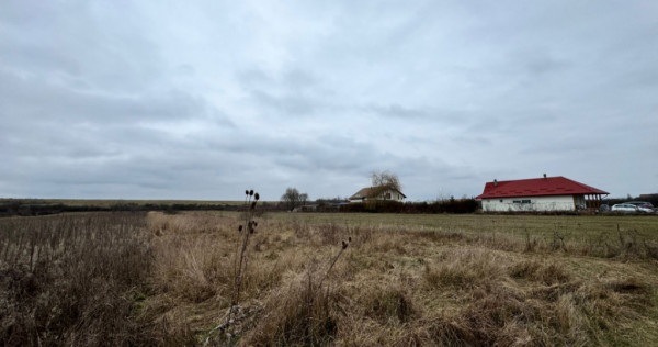 Teren 28 ari, drum principal