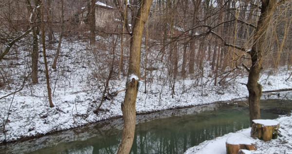 Hemeius- Teren cu deschidere la pădure și p&acirc;r&acirc;u. Cu salc