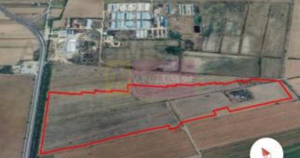 Teren 40ha Adunatii Copăceni | Industrial/ Logistic