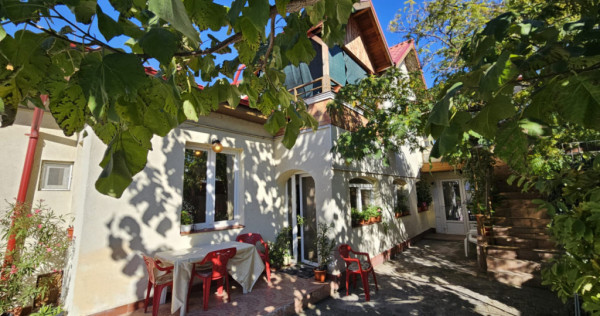 Casa curte- Metrou Pieptanari