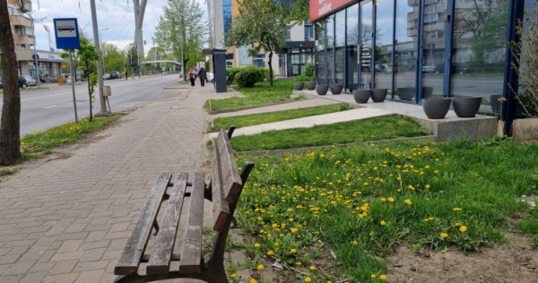 Clinica Luxor- 9 Mai- Ultracentral-3 camere/etaj 3, necesit?