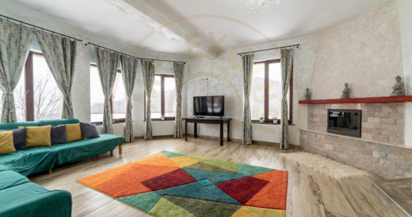 Casa primitoare de &icirc;nchiriat in Valea Ursului-spațiu, natu