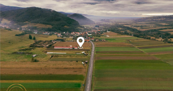 FILM! Ferma de iepuri,Malnas,Covasna: domeniu:comercial indu