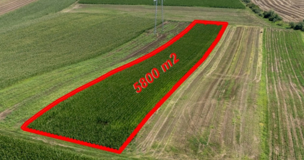 Teren agricol 5800mp