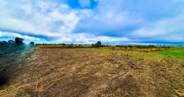 Teren Intravilan Bradu Arges 646 mp