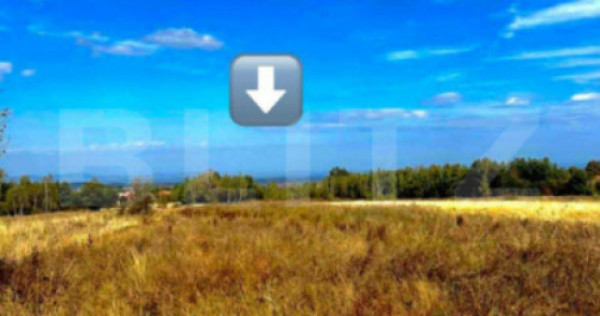 Teren extravilan 4265 mp, in Dangaul Mare - EXCLUSIVITATE