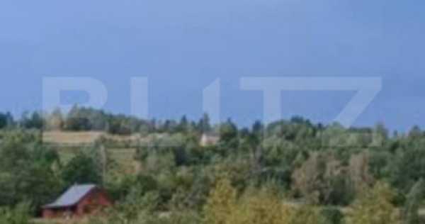 Teren extravilan 4265 mp, in Dangaul Mare - EXCLUSIVITATE