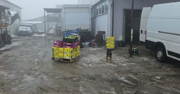 Hala 300 mp + teren 750 mp Popesti Leordeni