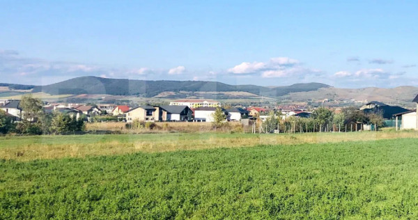 Teren intravilan, 600 mp, front 14,5 ml &ndash; Nazareth, Alba I