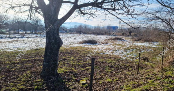 Teren intravilan 3021 mp in zona Avrig din Sibiu