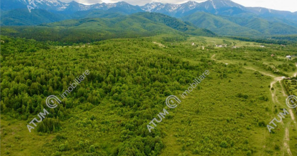 Teren intravilan 3021 mp in zona Avrig din Sibiu