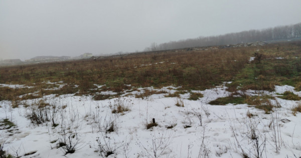 Teren 1000 mp, C&acirc;rcea, front 11,57m