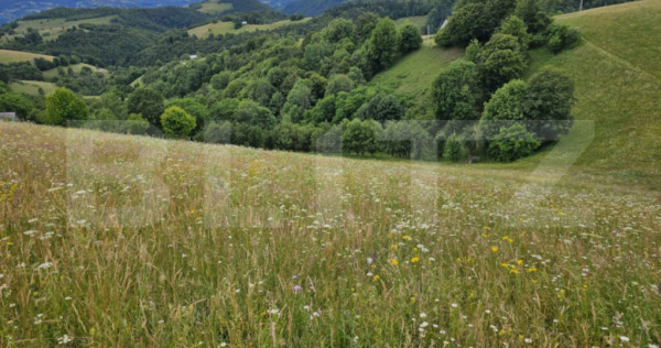 Teren extravilan de 14331 mp, zonă montană, Certege, C&acirc;mp