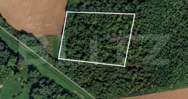 Parcelă 10.000 mp la liziera pădurii, Șag &ndash; front strad