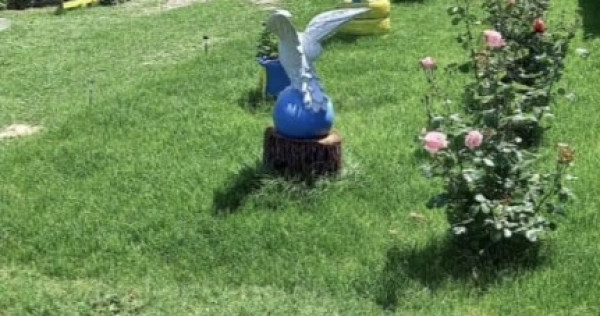 Casa Ograda Ialomița