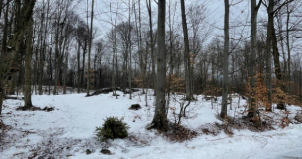 Teren deosebit 30 arii | Zonă montană exclusivistă | Apro