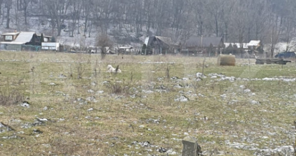 Oportunitate! TEREN INTRAVILAN CU SUPRAFATA DE 5200 MP