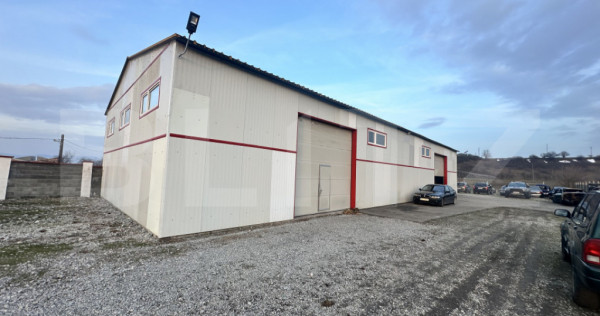 Parc industrial complet echipat &ndash; Hală multifuncțională