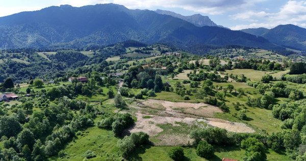 Teren intravilan 1900 mp| Sohodol | Priveliște superbă