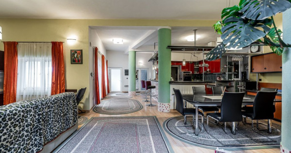 Spațiu comercial, hala, si un penthouse &icirc;n centrul Arad...